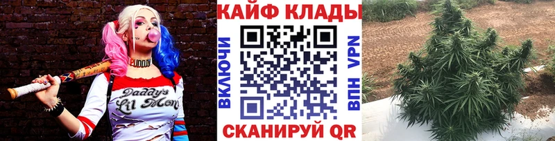 Как найти закладки Солнечногорск A PVP МАРИХУАНА МЕФ Гашиш