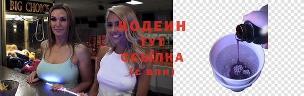 хмурый Арсеньев