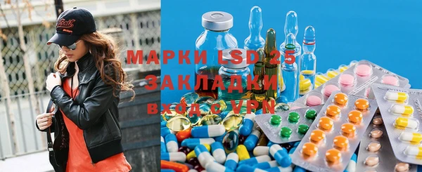 хмурый Арсеньев