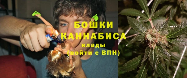 хмурый Арсеньев