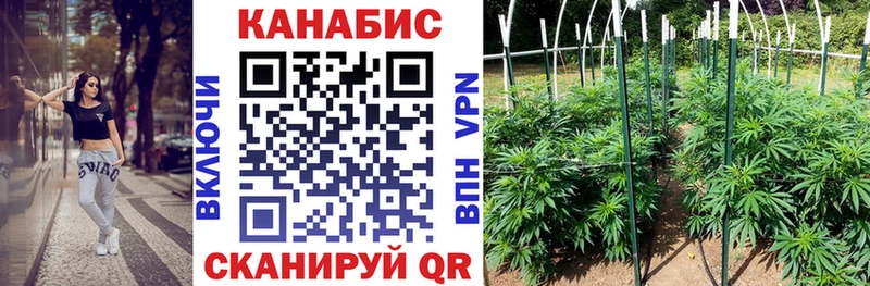 сколько стоит Солнечногорск Каннабис тримм